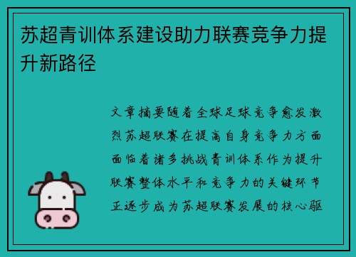 苏超青训体系建设助力联赛竞争力提升新路径