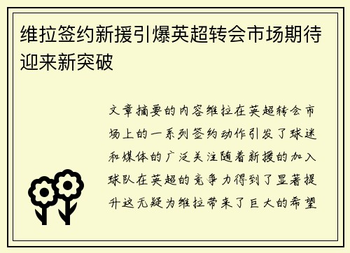 维拉签约新援引爆英超转会市场期待迎来新突破